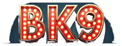 bk9 logo